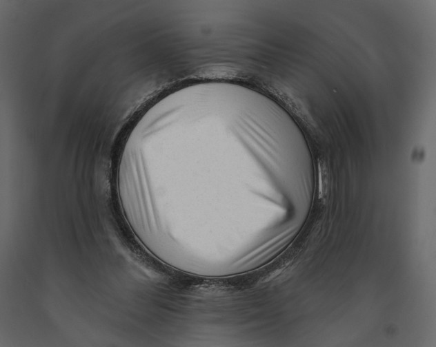 X0000090930300200708271050