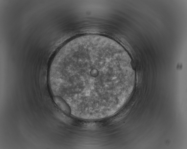 X0000090930301200708271050