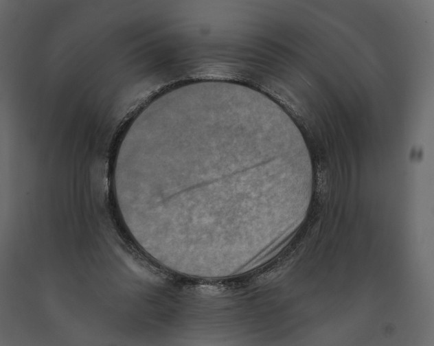 X0000090930302200708271050