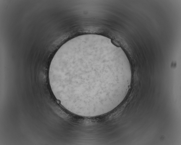 X0000090930305200708271050