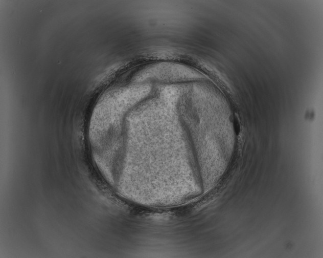 X0000090930306200708271050