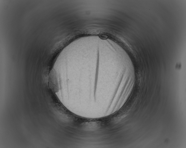 X0000090930307200708271050