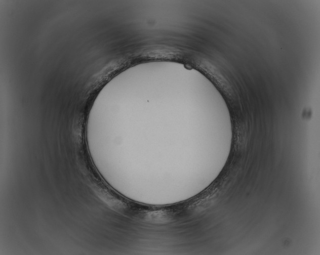 X0000090930309200708271050