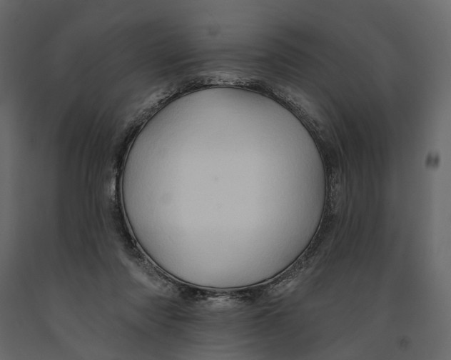 X0000090930310200708271050