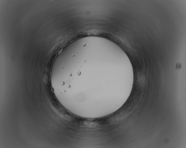 X0000090930311200708271050