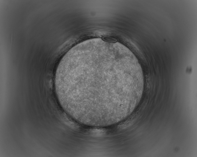 X0000090930313200708271049