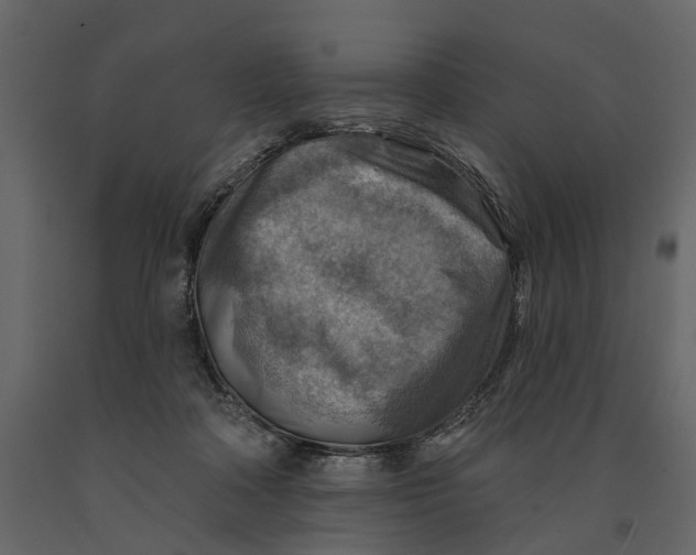 X0000090930314200708271049