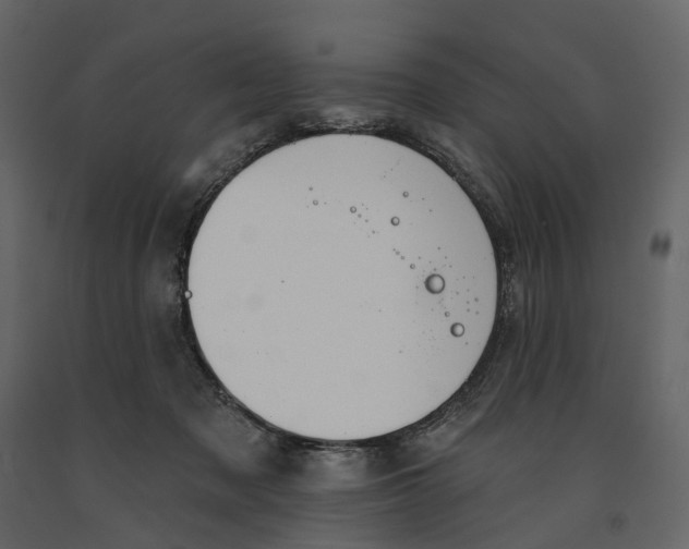 X0000090930317200708271049