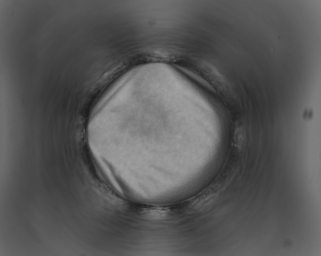 X0000090930318200708271049