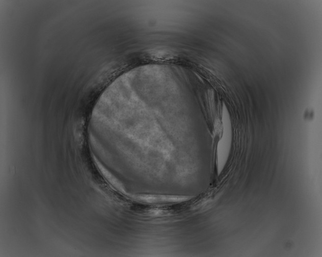 X0000090930319200708271049