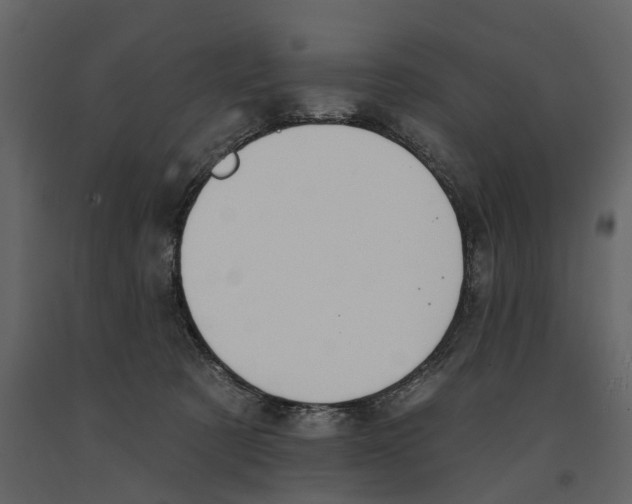 X0000090930321200708271049