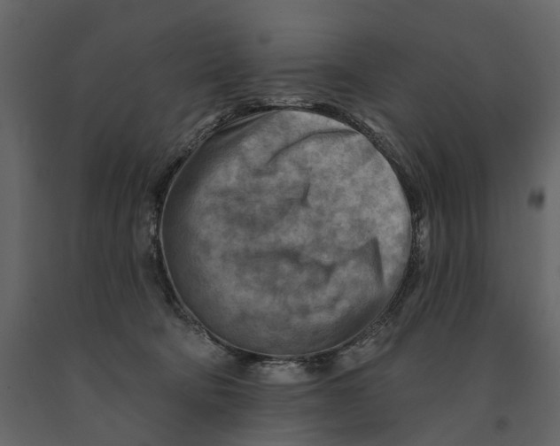 X0000090930322200708271049