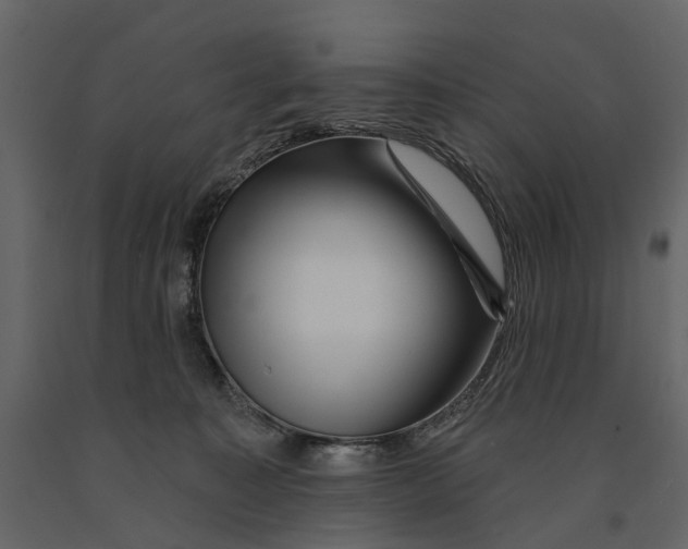 X0000090930323200708271049