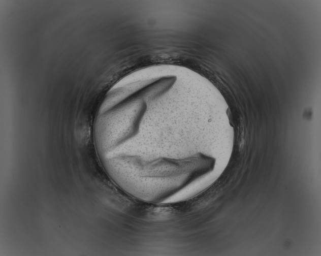 X0000090930324200708271049