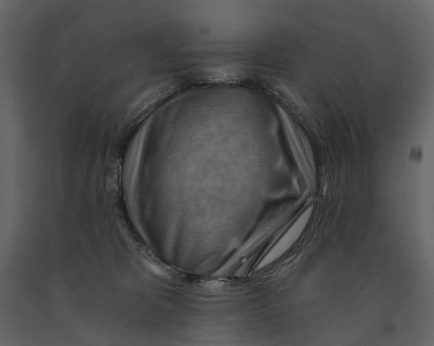 X0000090930325200708271049