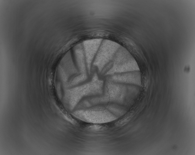 X0000090930326200708271049