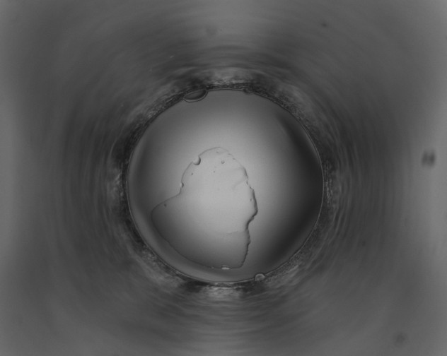 X0000090930327200708271049