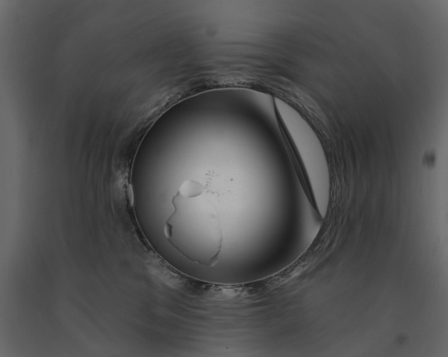 X0000090930329200708271049