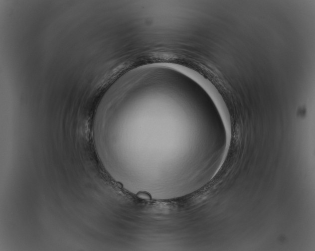 X0000090930330200708271049