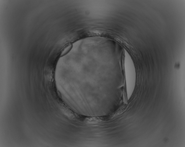 X0000090930331200708271049