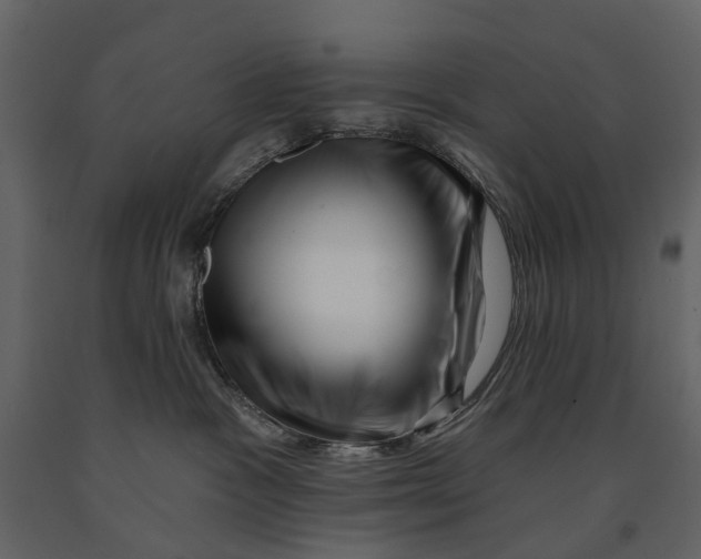 X0000090930333200708271049