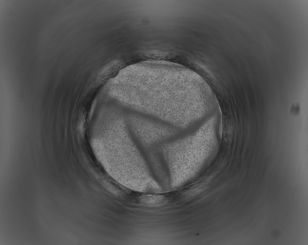 X0000090930334200708271049