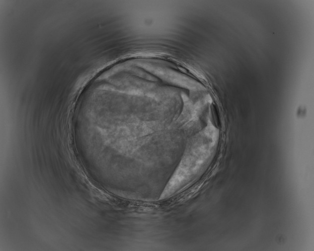 X0000090930337200708271049