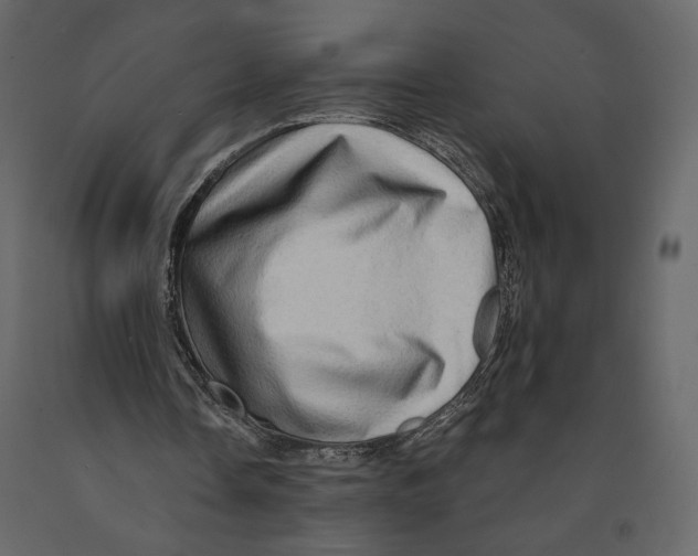 X0000090930338200708271049