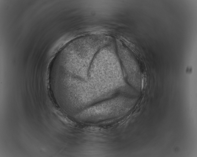 X0000090930339200708271049