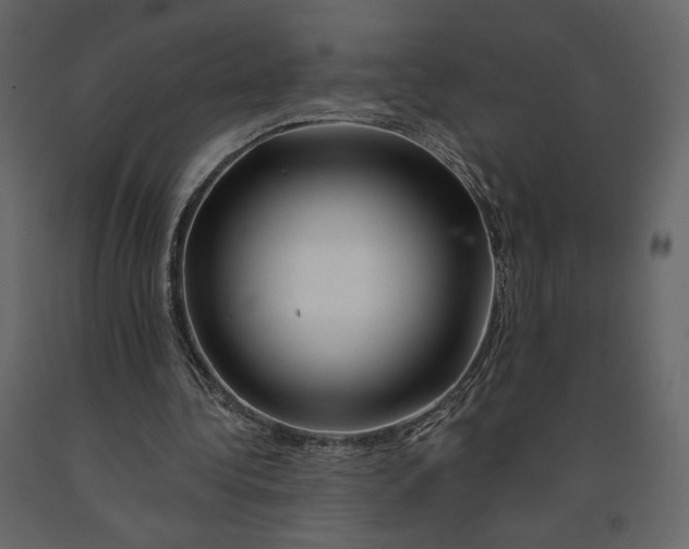 X0000090930340200708271049