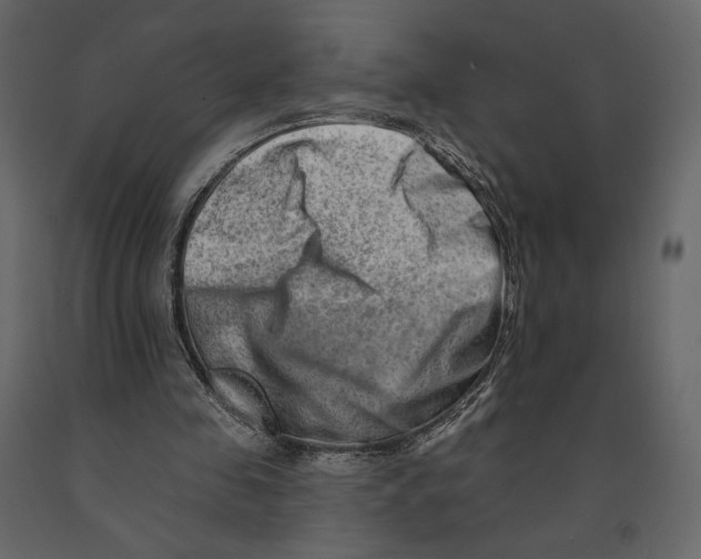 X0000090930341200708271049