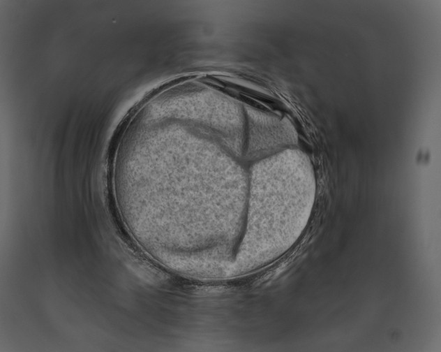 X0000090930342200708271049