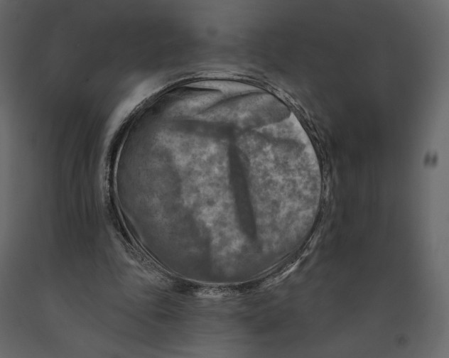 X0000090930343200708271049