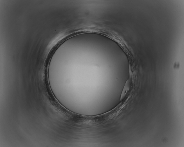 X0000090930344200708271049