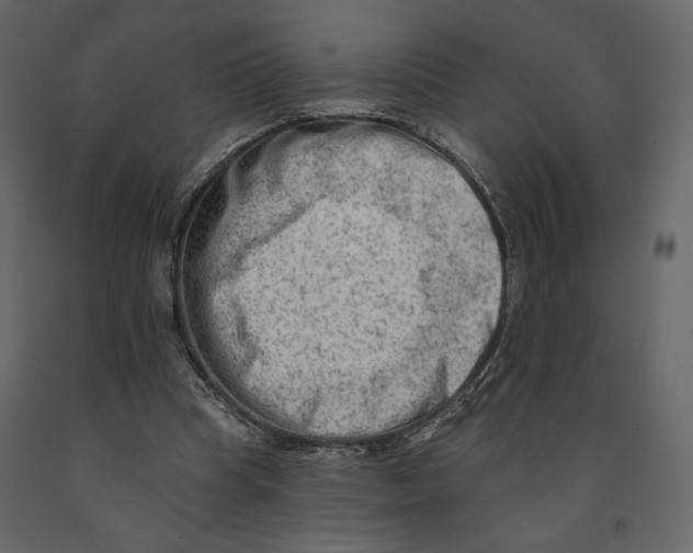 X0000090930345200708271049