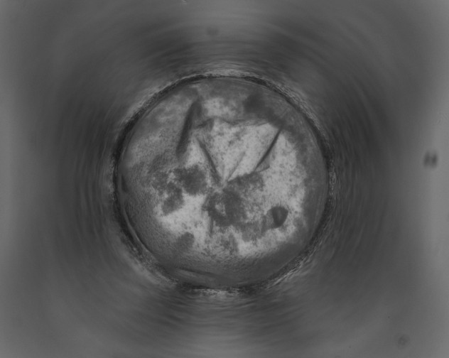 X0000090930347200708271049