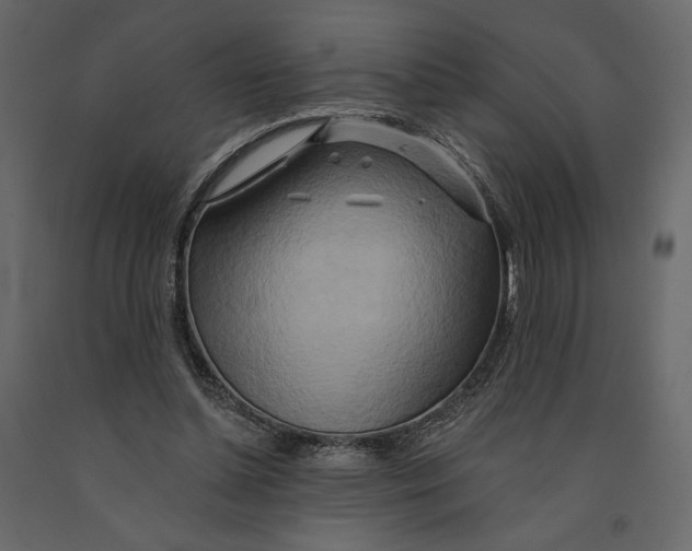 X0000090930348200708271049