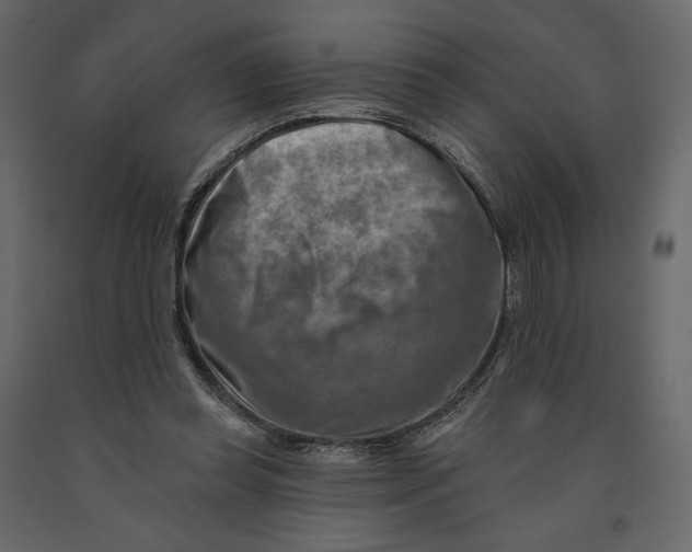 X0000090930349200708271049