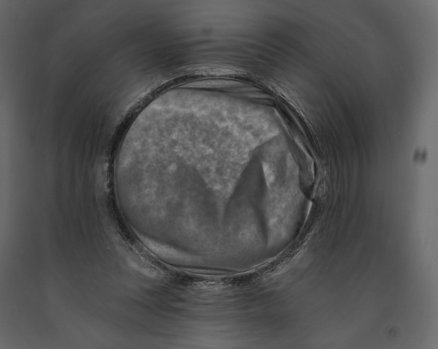 X0000090930351200708271049