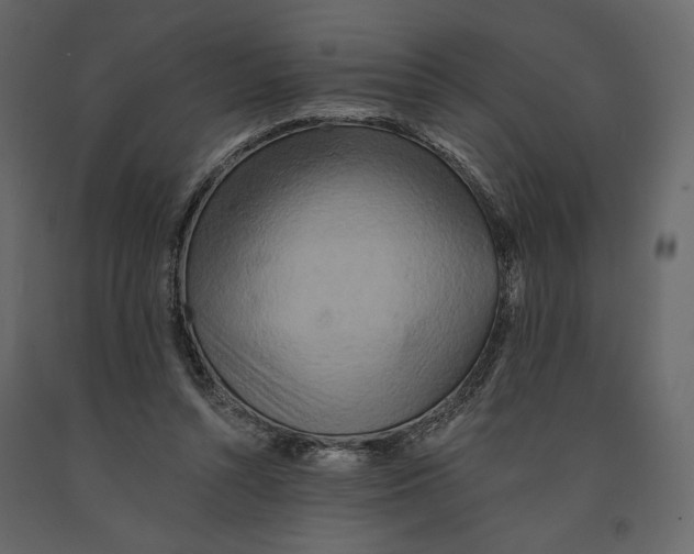 X0000090930352200708271049