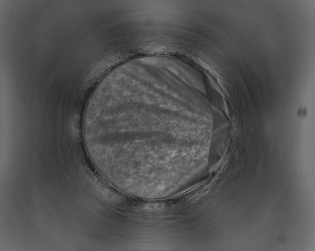 X0000090930353200708271049