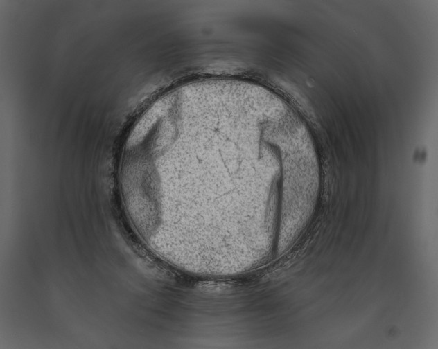 X0000090930354200708271049