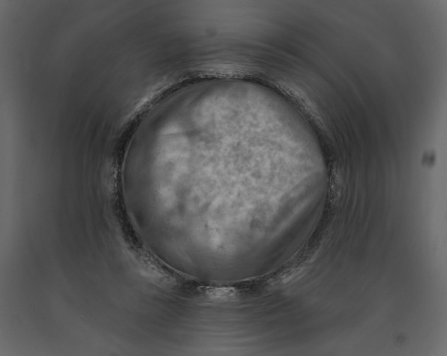 X0000090930355200708271049