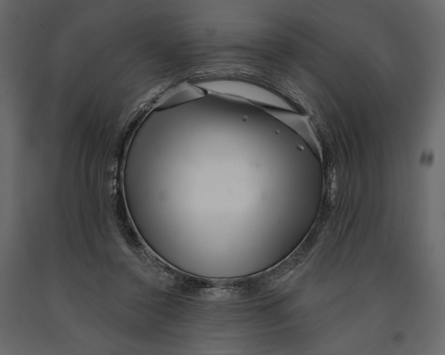 X0000090930356200708271049