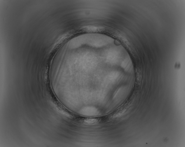 X0000090930357200708271049