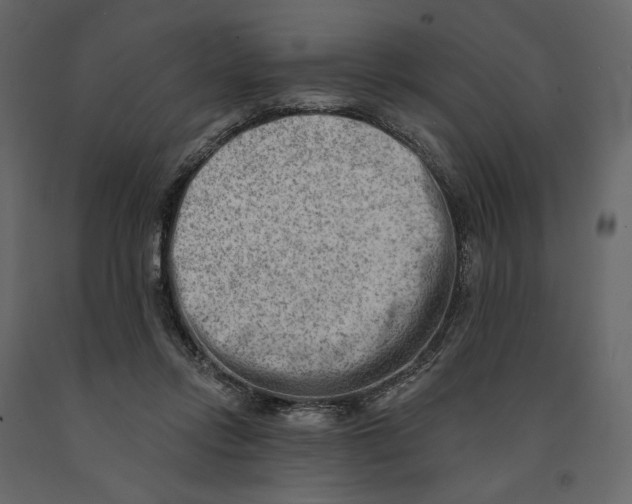 X0000090930358200708271049