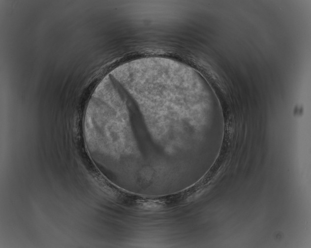 X0000090930359200708271049