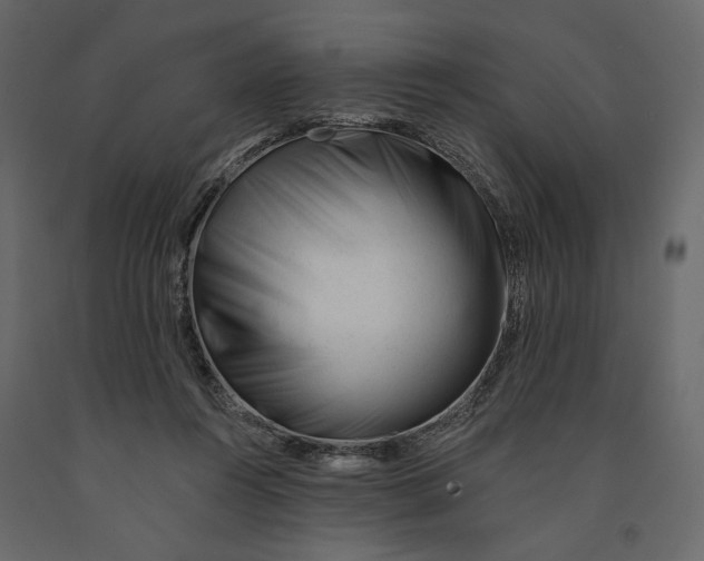 X0000090930360200708271049