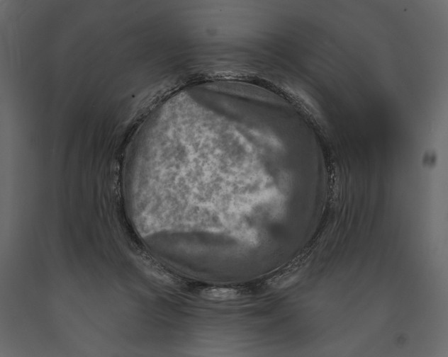 X0000090930361200708271049