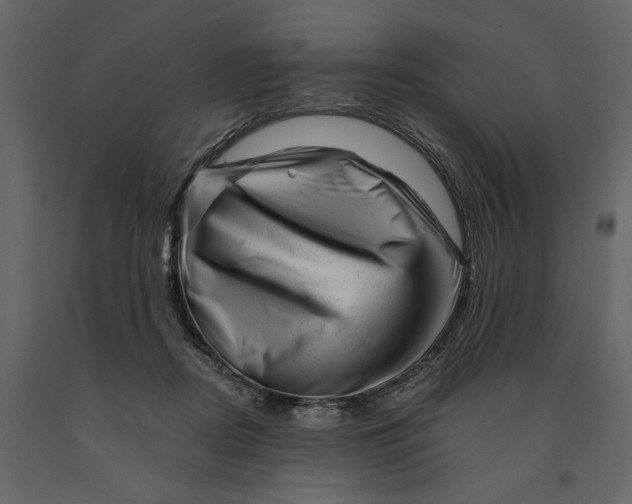 X0000090930362200708271049